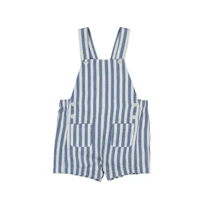 Blue & White Stripe Shorts Overall