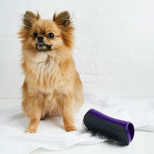 Pet Teezer De-Shedding & Grooming Brush - Outlet store